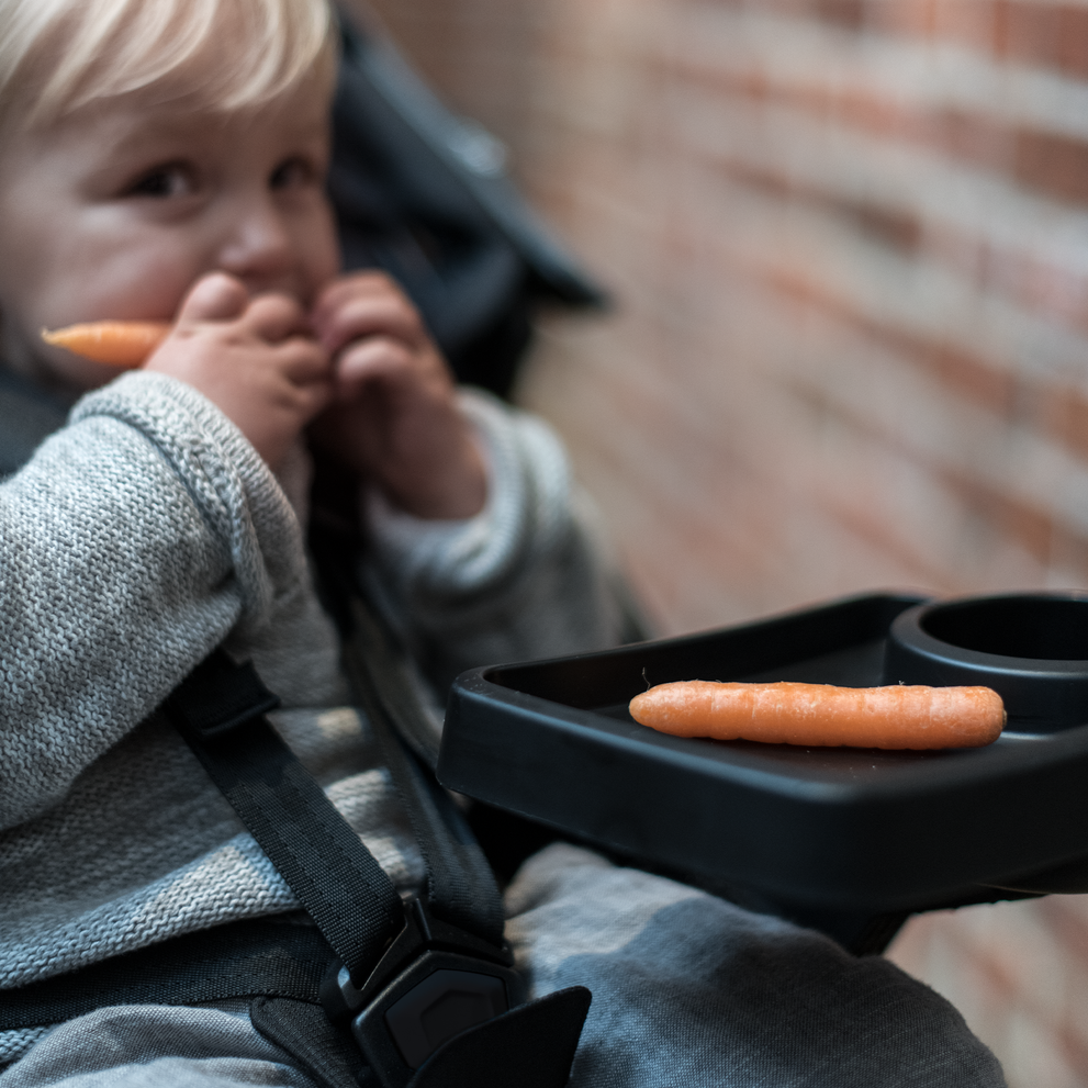 Snack Tray for Thule Urban Glide