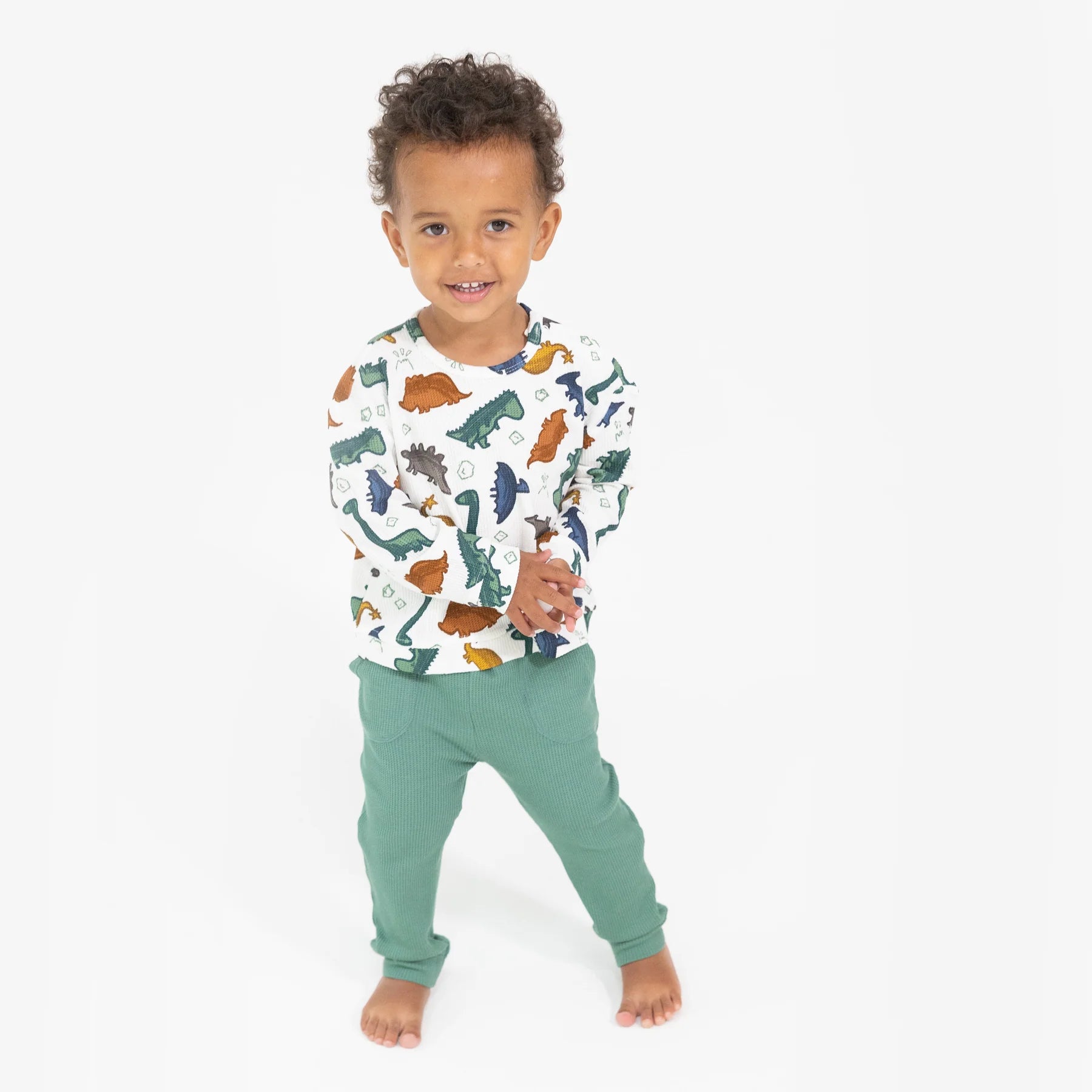 Sweatshirt/ Jogger Set- Dino Rocks