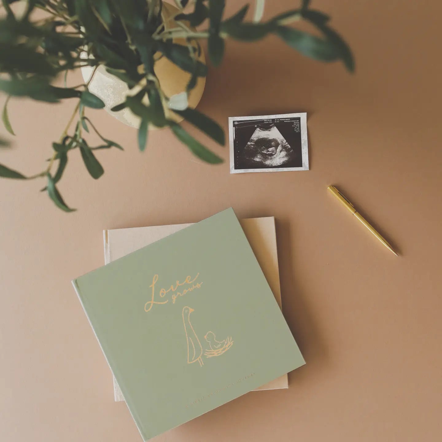 Pregnancy Journal- Moss Green