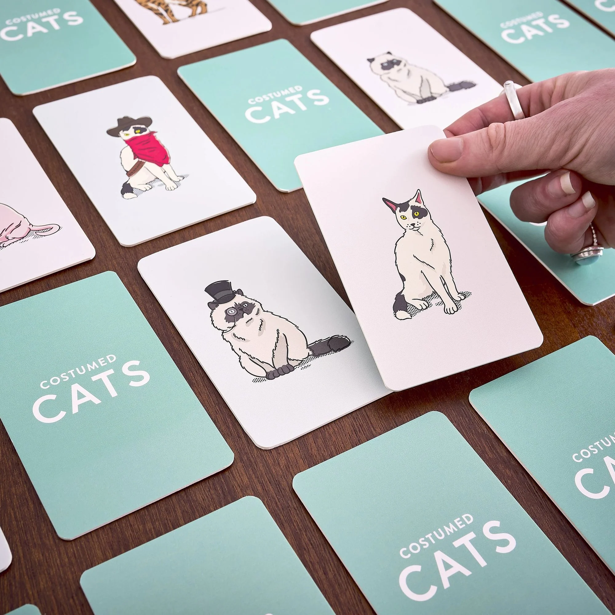 Costume Cats Memory Game