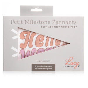 Petit Milestone Pennant- Flower Child