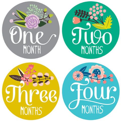 Monthly Stickers