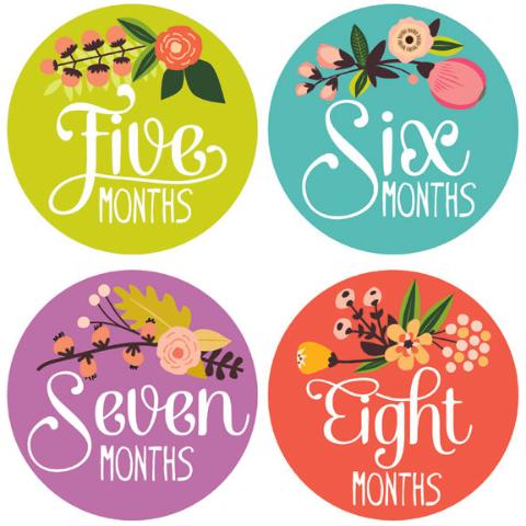 Monthly Stickers - Little Artist