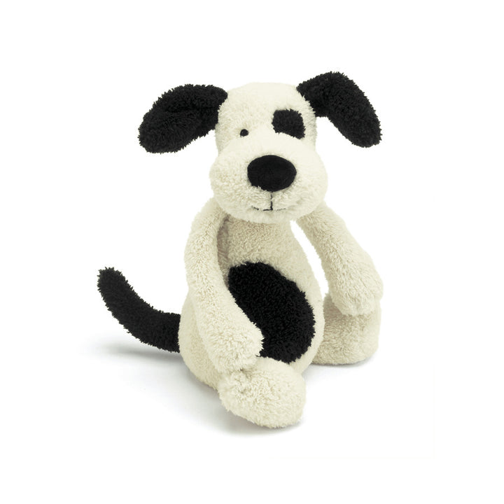 Bashful Black and Cream Puppy