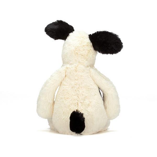 Bashful Black and Cream Puppy